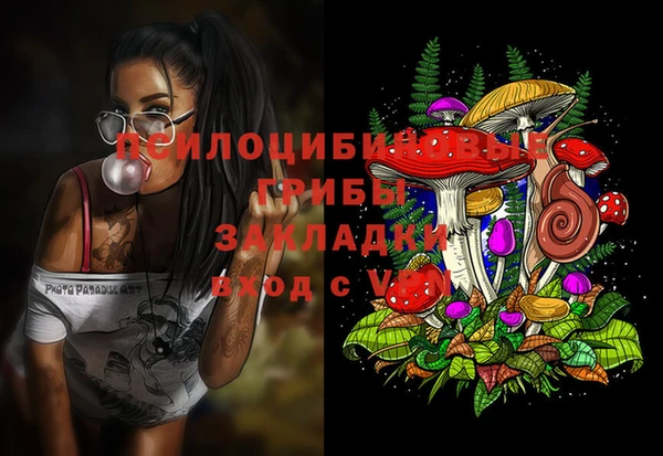 молекула духа Красноперекопск