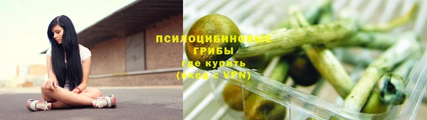 Альфа ПВП Краснослободск